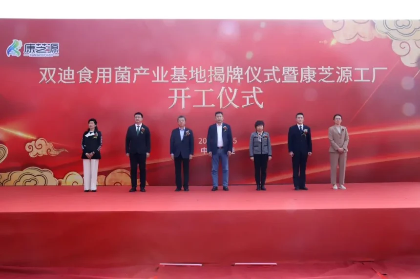 双迪 | 揭牌！开工！春风送来了两个好消