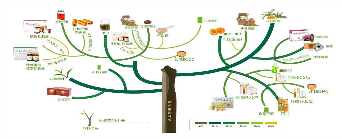 植此青绿 共树美好——专访宇航人集团执行总裁张一斌