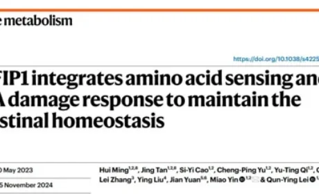 安然众合牌多种维生素蛋白粉 喝出健康和活力