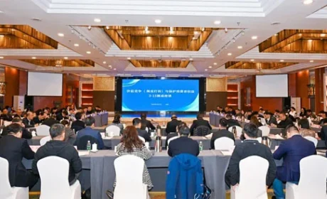 绿之韵入选2024直企优化消费环境创新案例