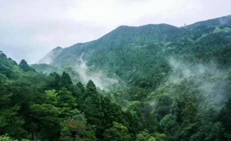 福能源 | 走进好医生云南基地 开启溯源之旅