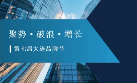 三奖横扫 双迪出圈2025第七届大连品牌节